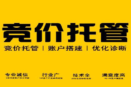 某公司SEM优化成功案例：从零到一的流量增长
